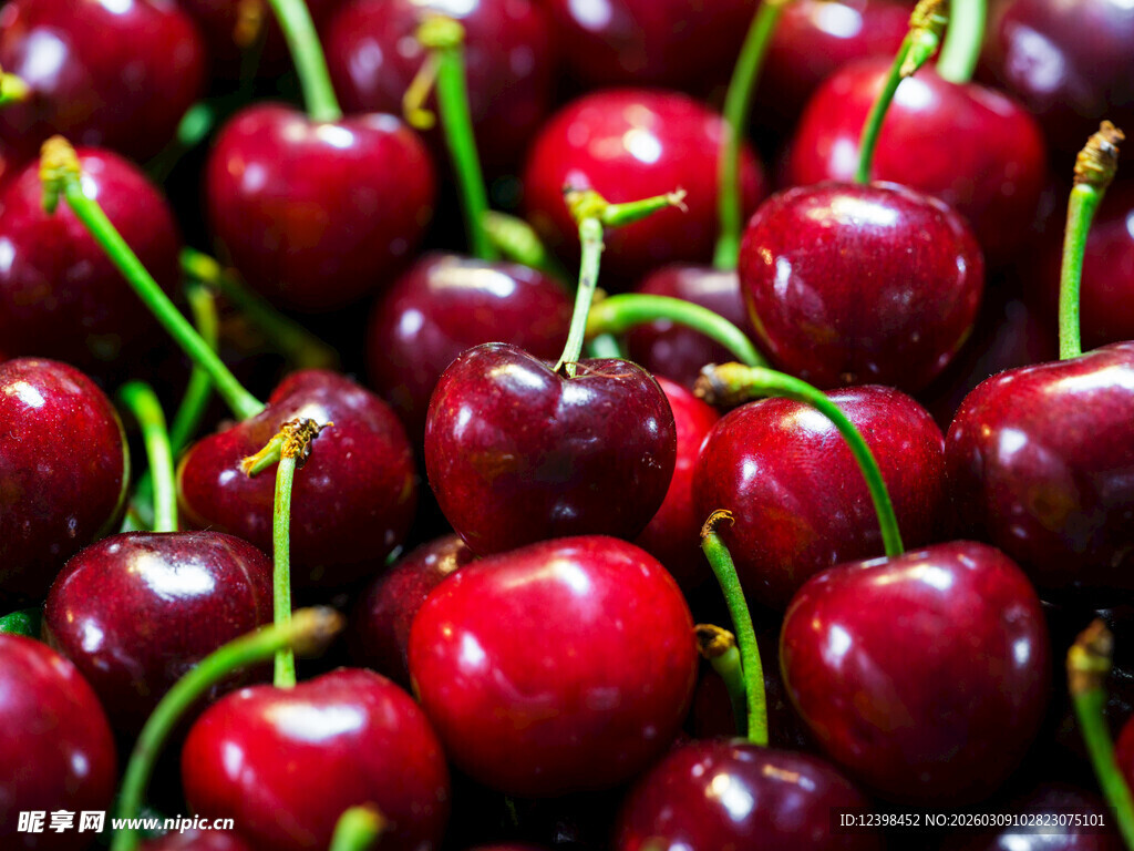 新鲜饱满的红樱桃