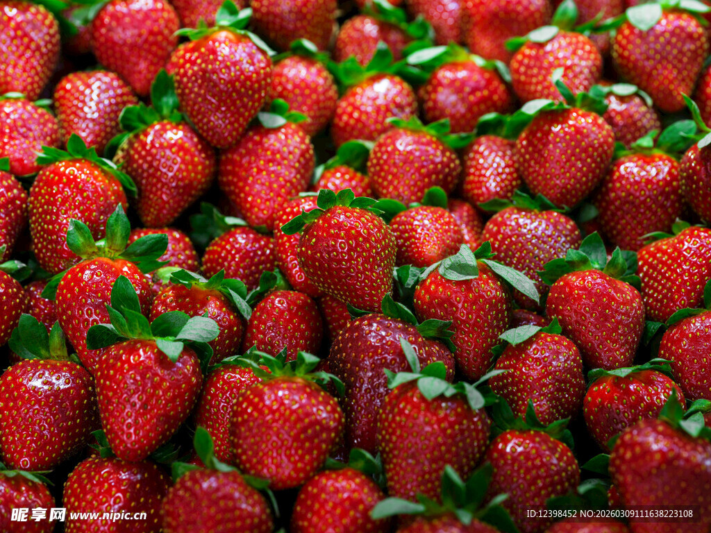 新鲜饱满的草莓果实