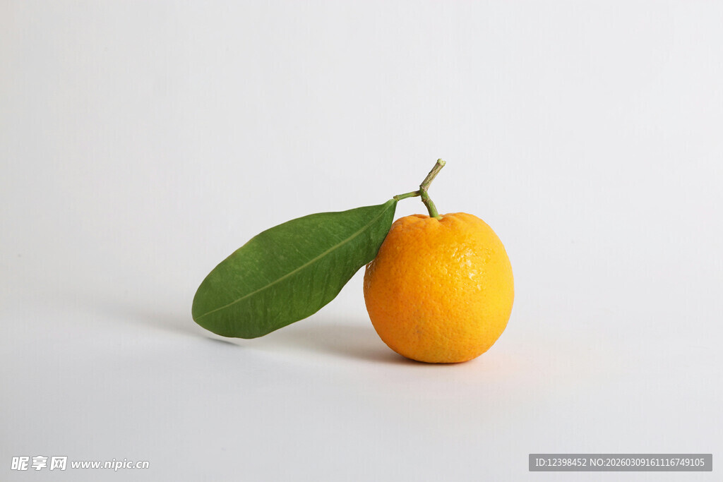 金黄金桔带绿叶