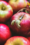 新鲜红苹果