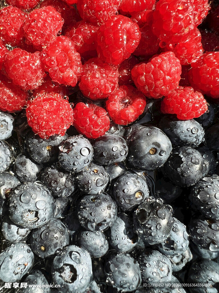 树莓与蓝莓