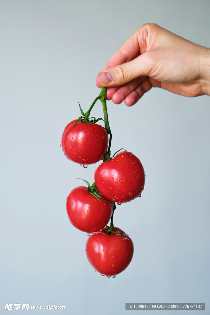 水果番茄