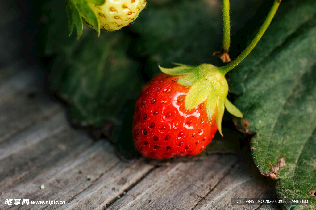 木桌上的鲜红草莓