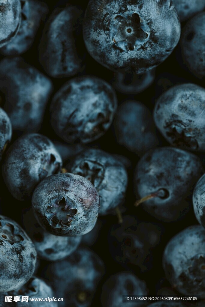 饱满蓝莓