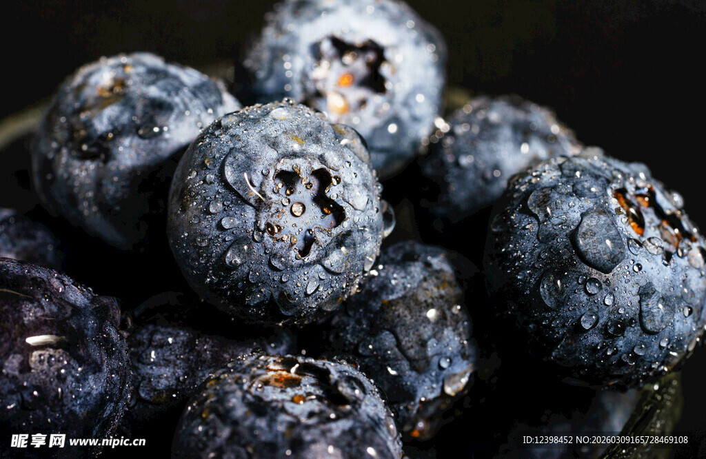 新鲜饱满的蓝莓果实