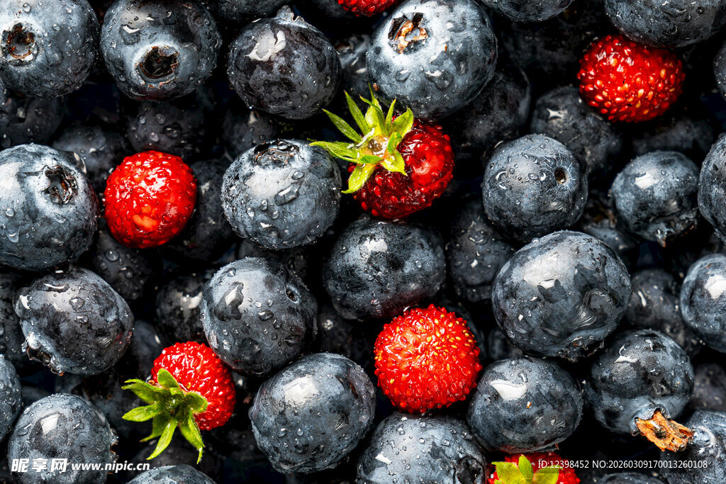 蓝莓与草莓