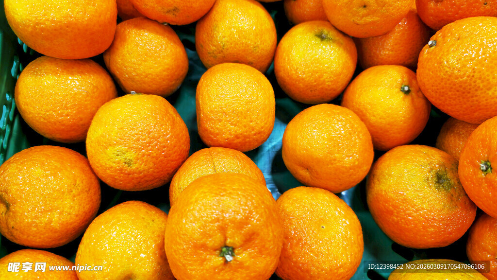新鲜饱满的橙子