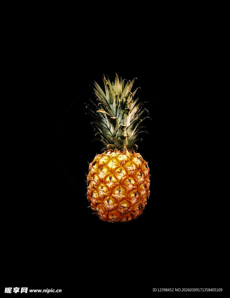 菠萝