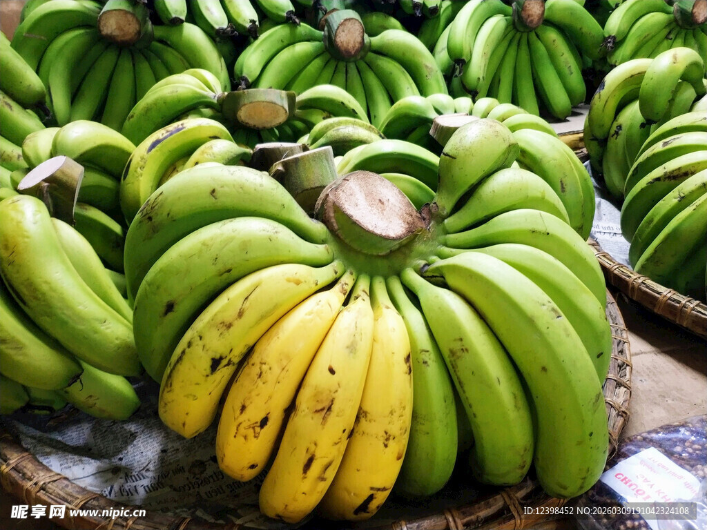 新鲜青绿香蕉待售