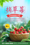 蓝色清新有机草莓园摘草莓海报