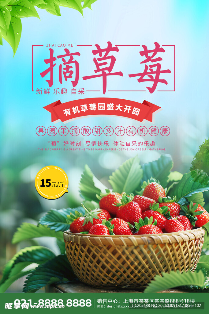 蓝色清新有机草莓园摘草莓海报