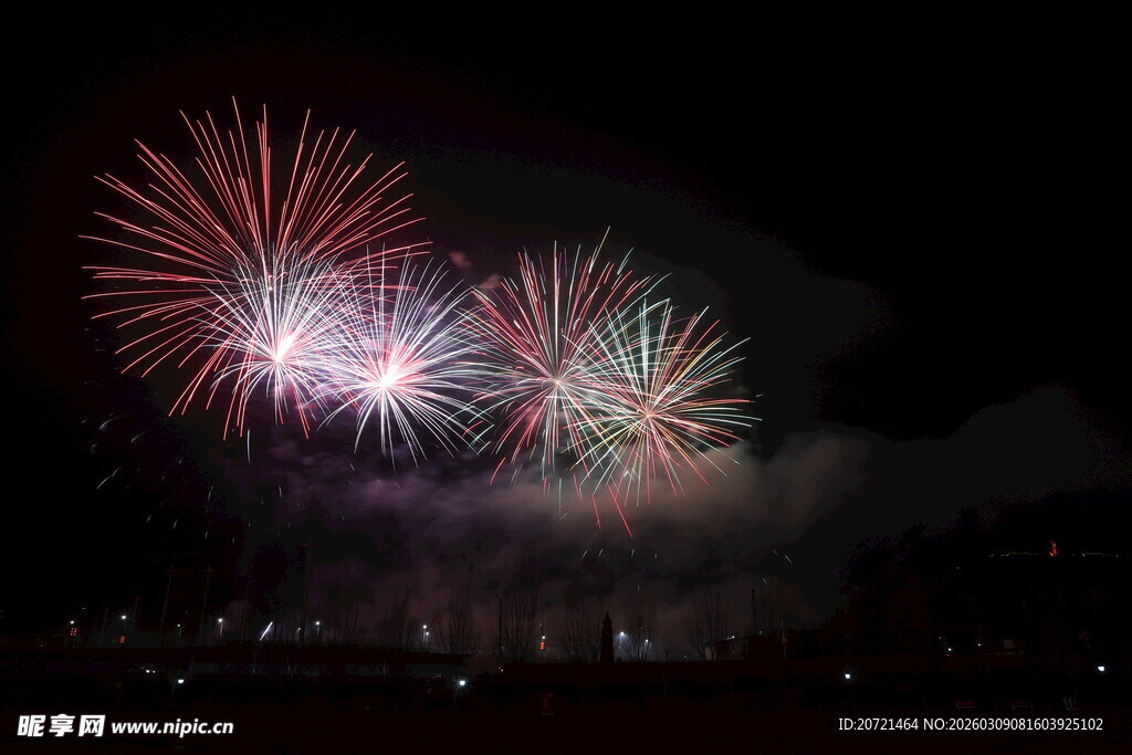 夜空中绚烂绽放的烟花