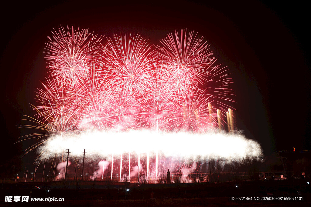 夜空中绚丽绽放的烟花