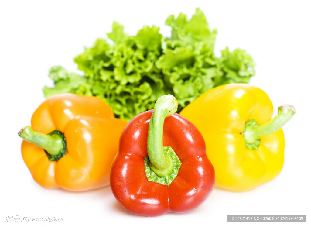 多彩甜椒配新鲜生菜