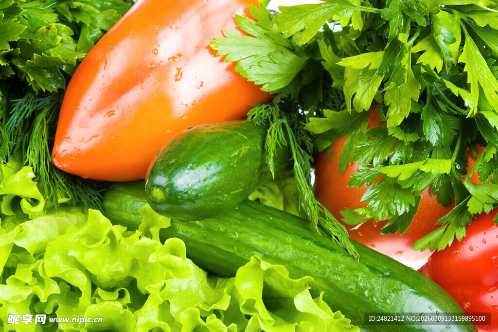 新鲜多彩蔬菜组合