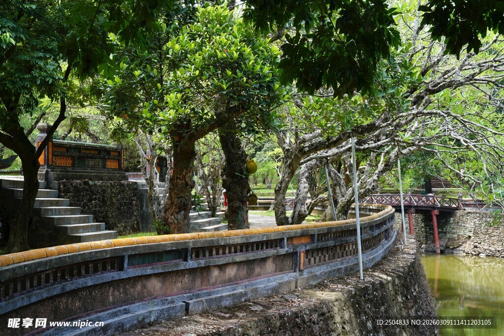 河畔绿荫下的静谧石阶