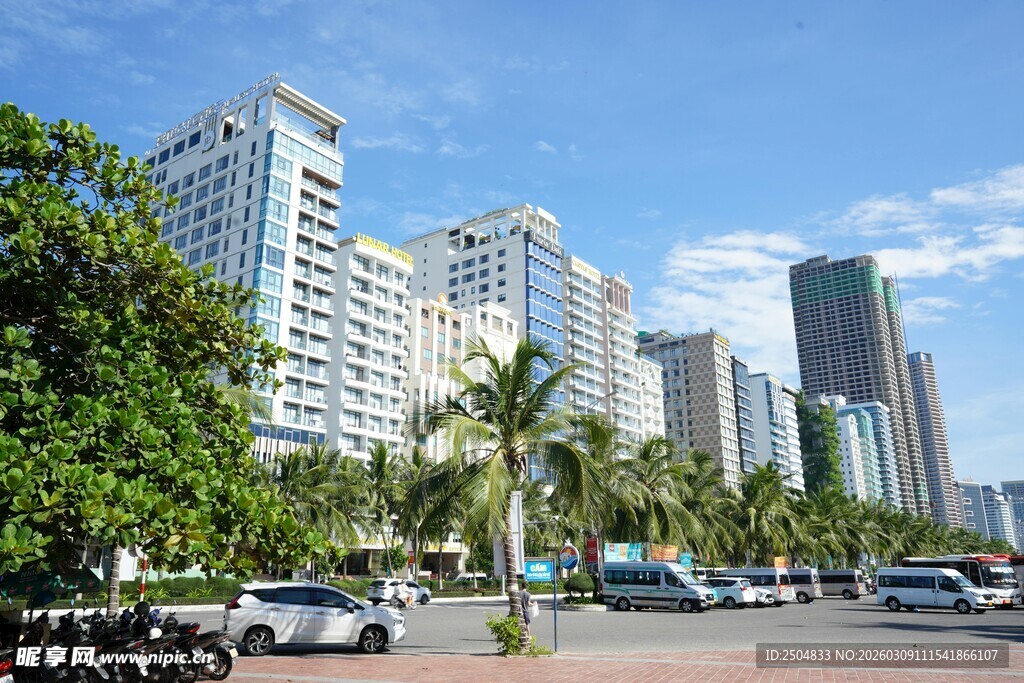 城市街道旁的高楼与绿树