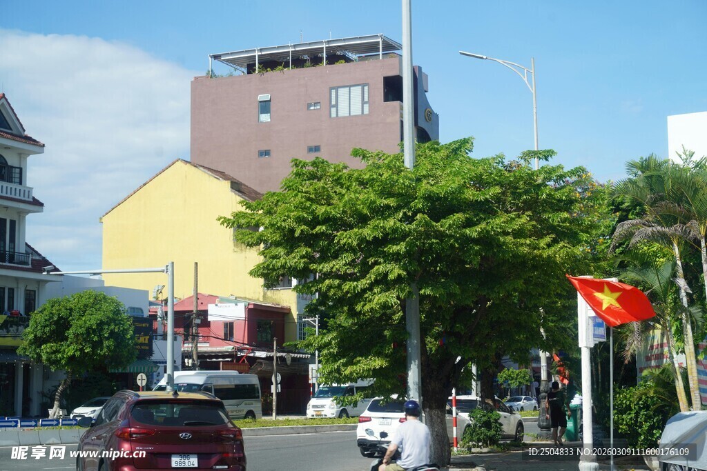 街道旁的多彩建筑与绿树