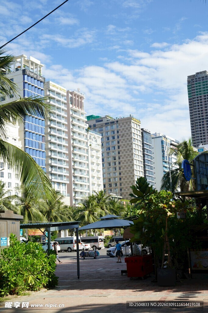 城市中的热带风光与建筑