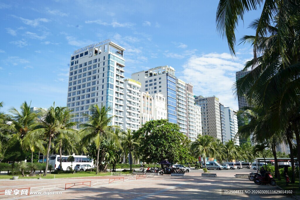 城市街道旁的高楼与绿树