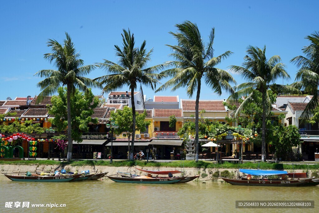 河畔椰影下的多彩船只