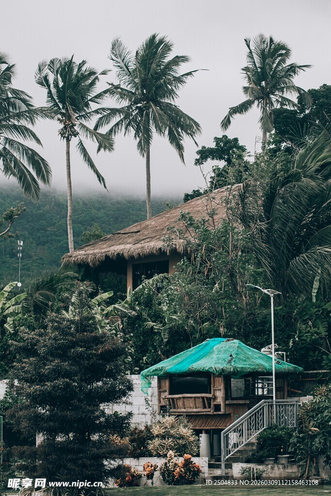 热带风光中的特色小屋