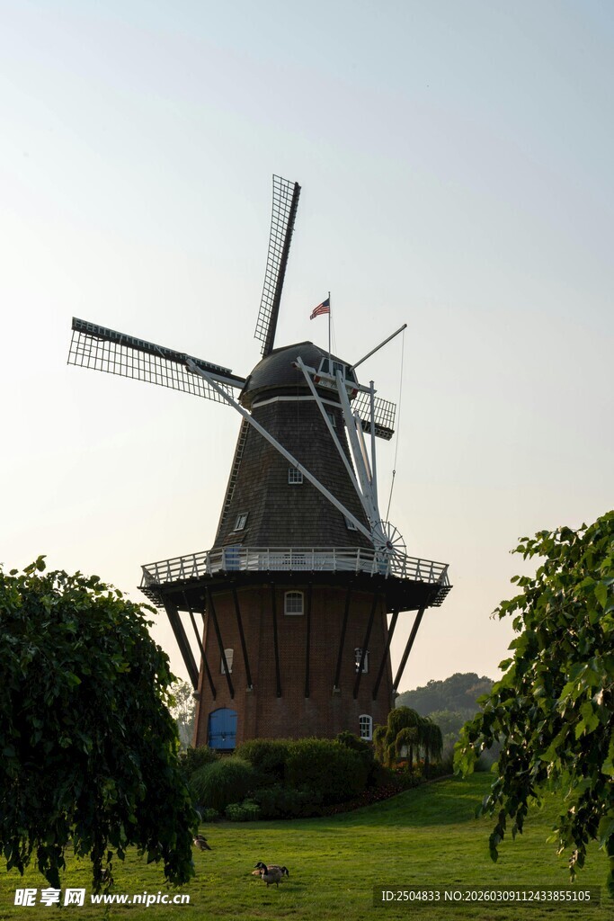 荷兰风车 田园中的静谧风景
