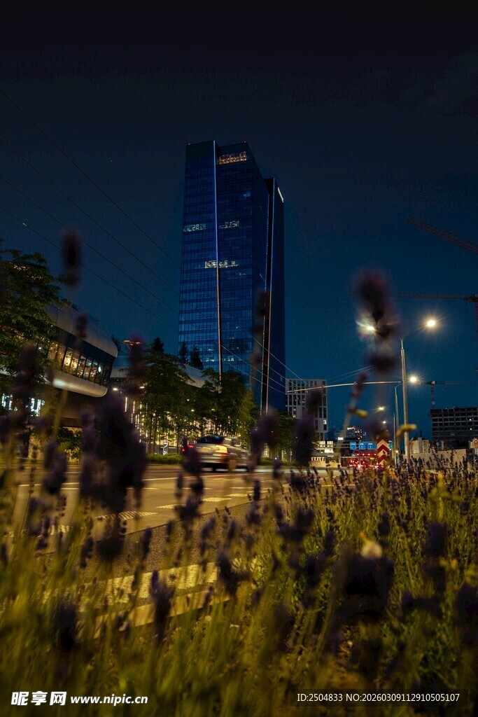 城市夜景下的烂漫花丛