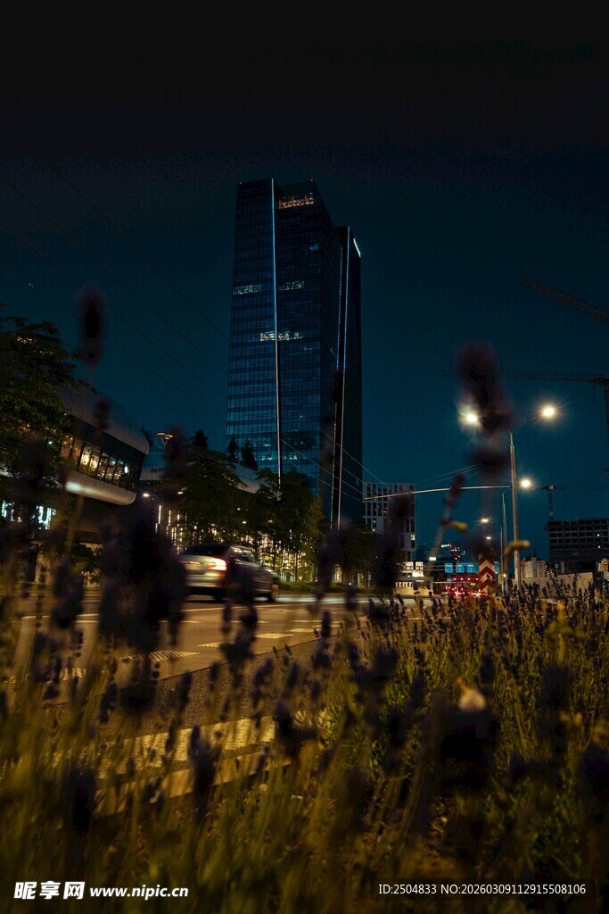 城市夜景下的繁茂绿植