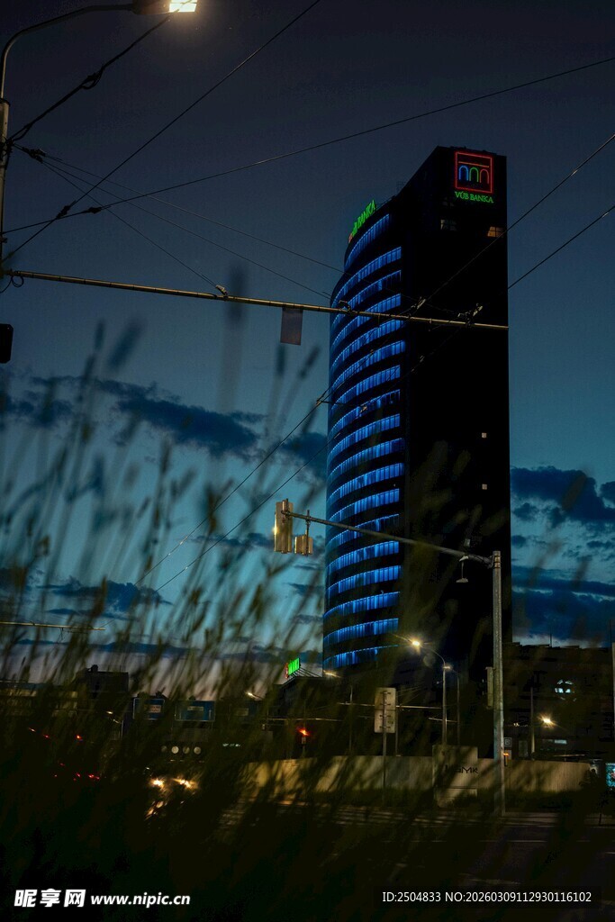 夜幕下的高楼与朦胧前景