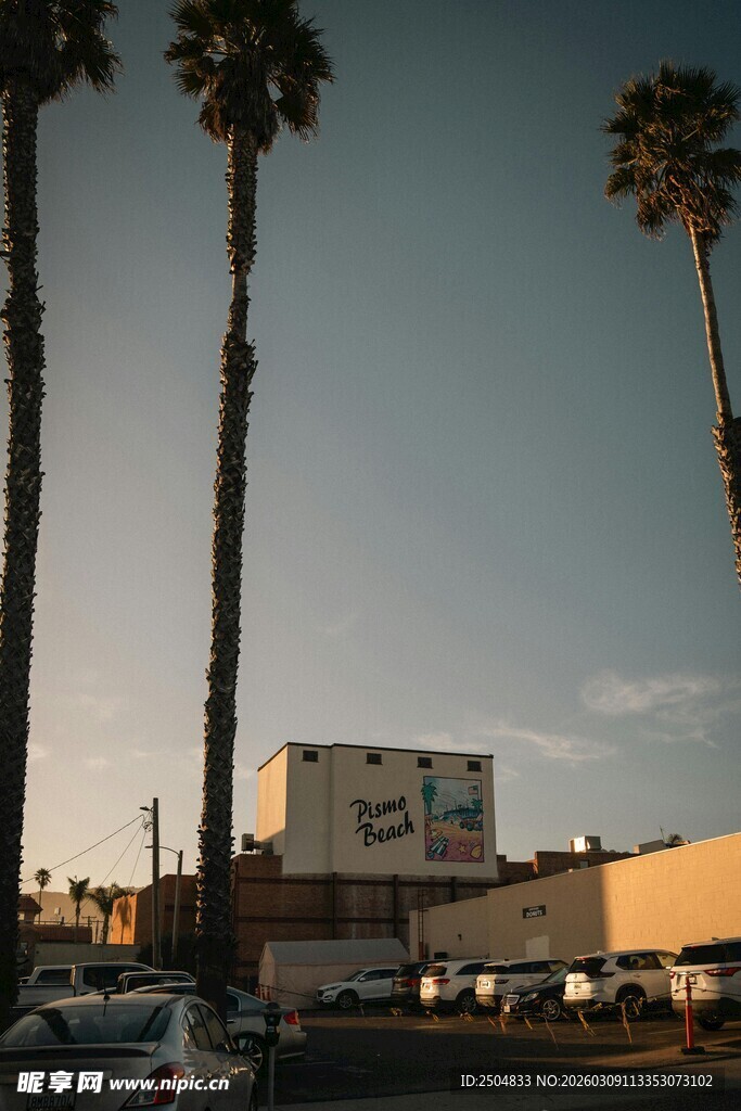 黄昏下的棕榈树与建筑