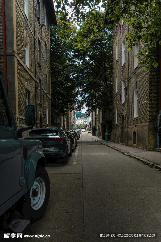 宁静街道旁的停放车辆