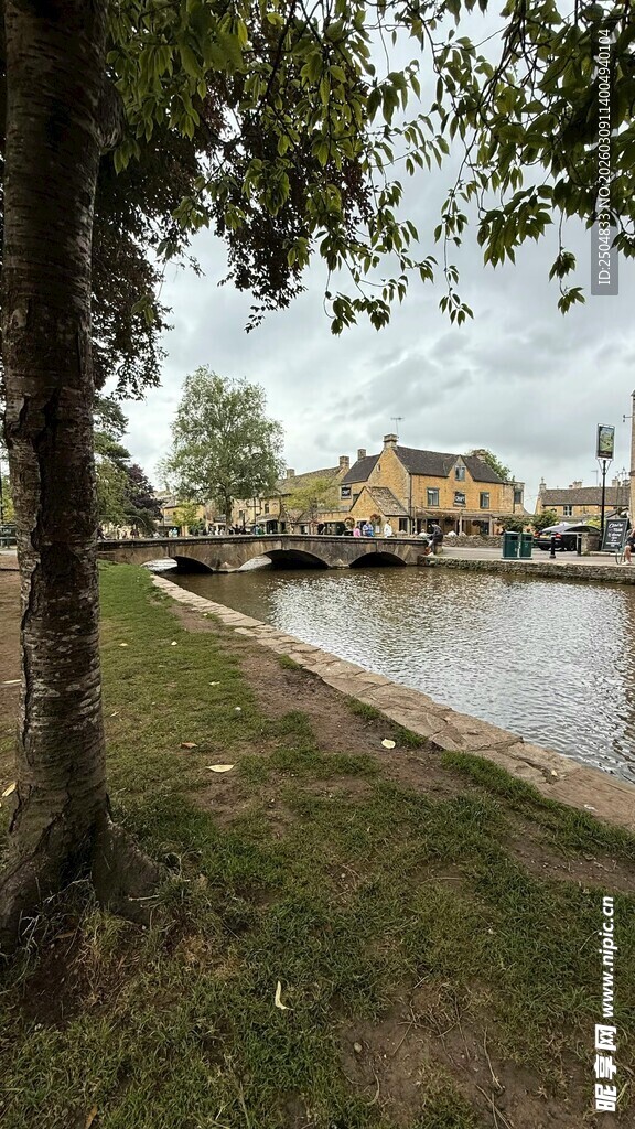 河畔绿树环绕的宁静景致