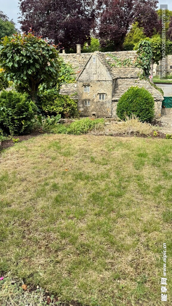 庭院草坪与绿植景致