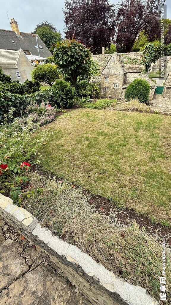 宁静庭院花园景致