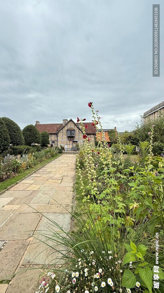 田园小径 绿植环绕的美景