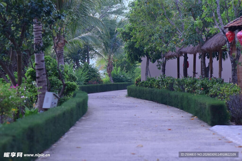 花园小径 绿植环绕景致美