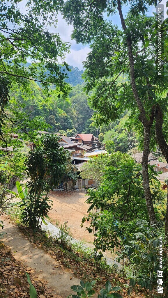 山林间的蜿蜒小道