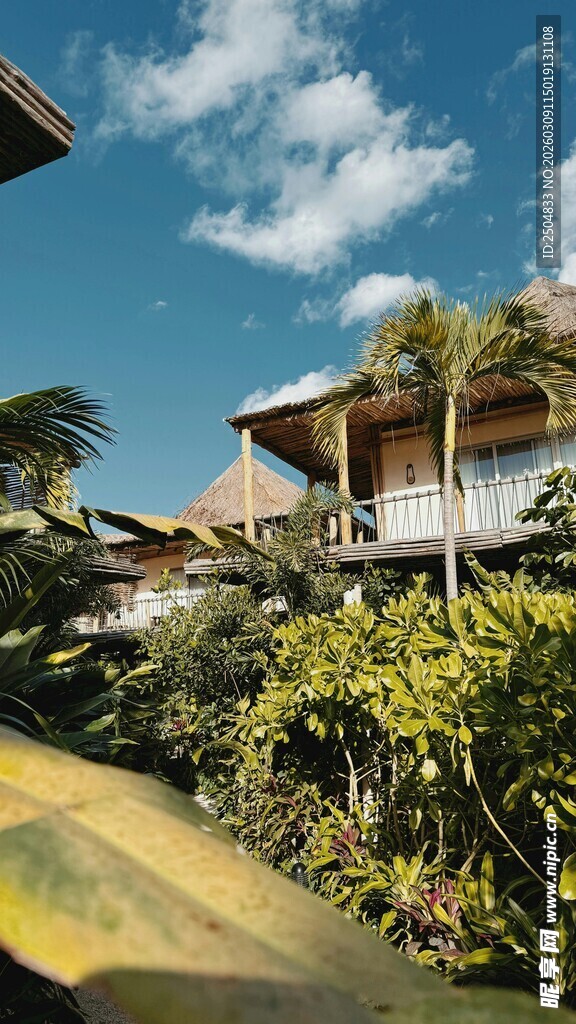 热带风光中的精 度假屋