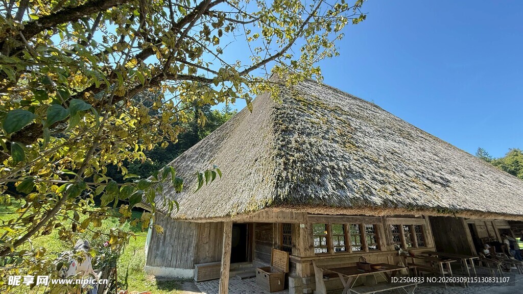 乡村茅草屋 自然宁静景致