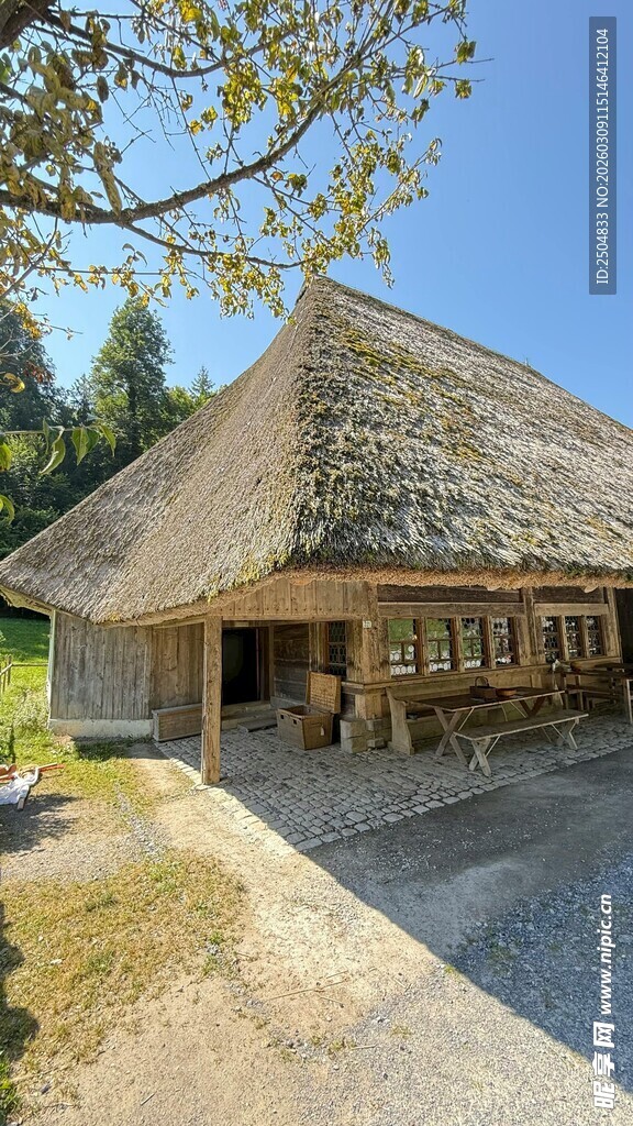 乡村茅草屋 古朴宁静景致