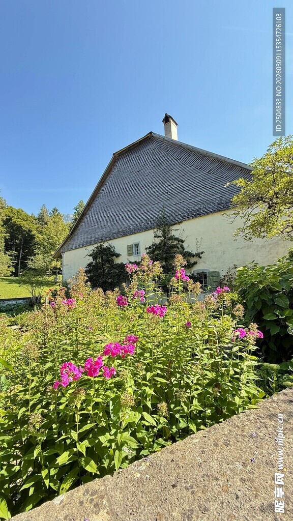 田园小屋旁的缤纷花卉