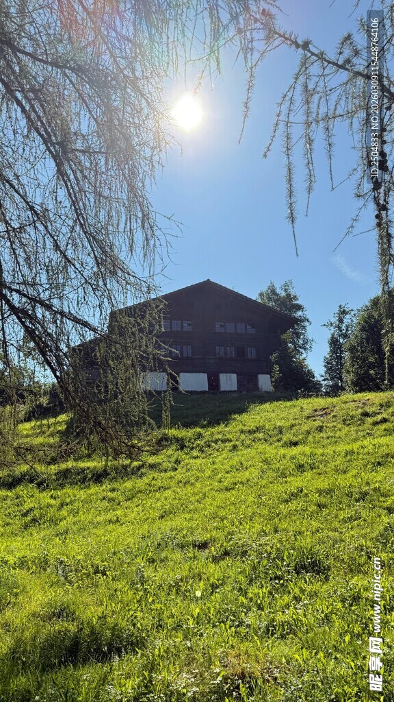 阳光下的草地与房屋