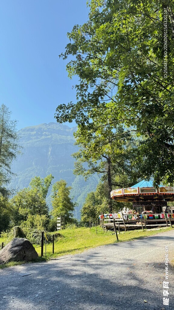 乡村林间的静谧休闲场景