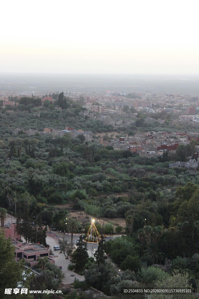 俯瞰绿意盎然的城镇景色