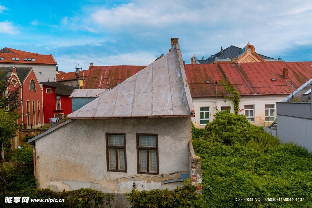 古朴小屋隐于绿植之中