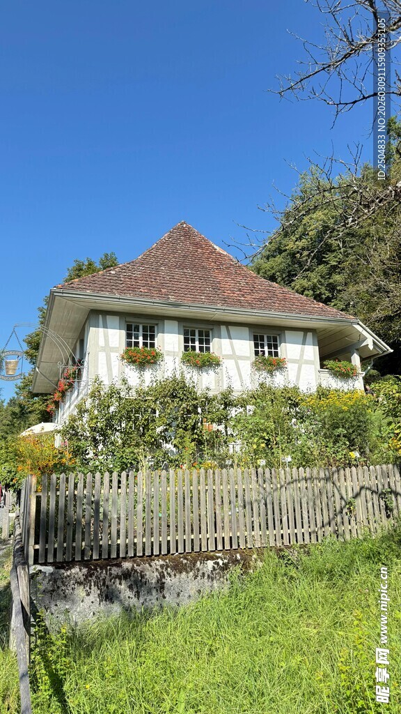 乡村小屋 绿意环绕的宁静处