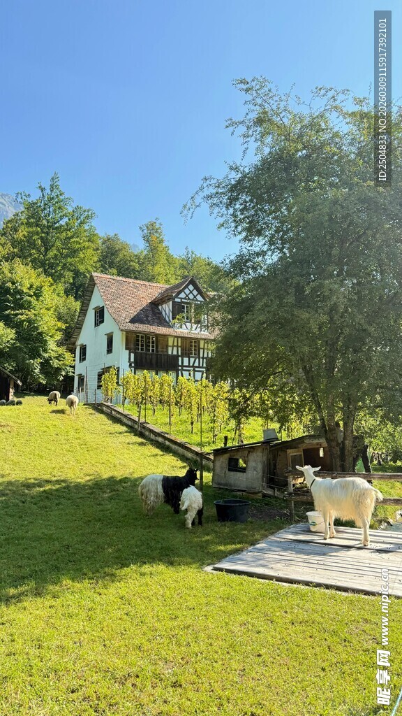 户外草坪上的休闲场景