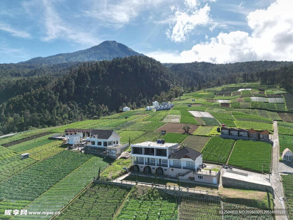 山间田园风光中的村落
