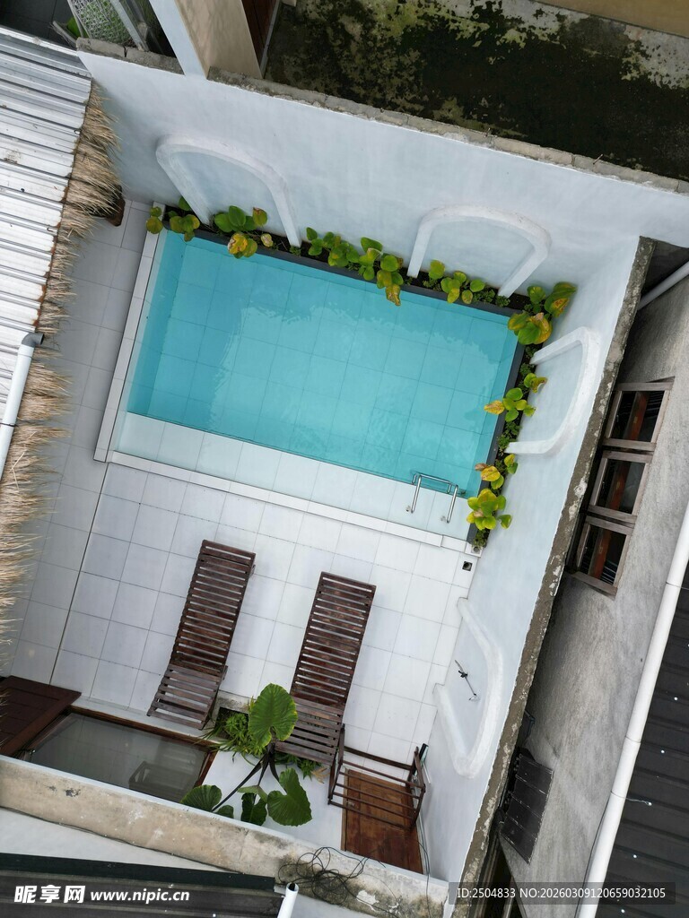 屋顶泳池 绿植环绕景致佳